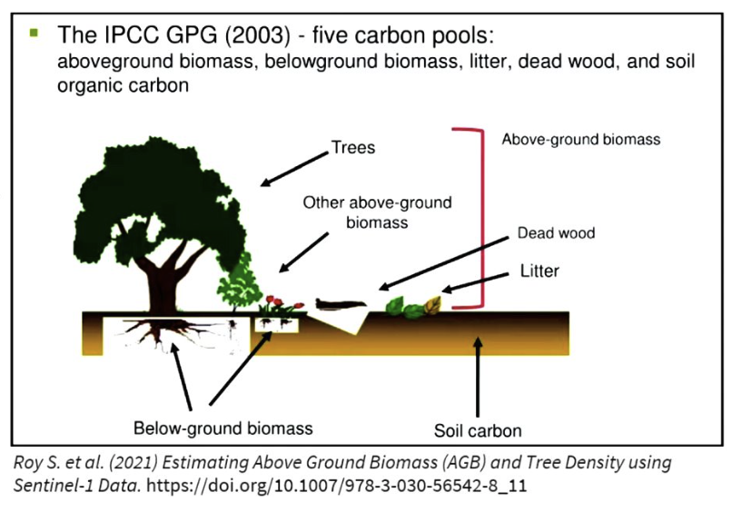 biomass